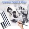 Drawing Kit with 2 Sketch Book, Sketching Pencils, Graphite Pencils, Charcoal Pencils, Art Kit for Artists Adults Teens Beginner Kid, Drawing Pencils for Sketching